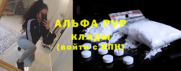 прущие грибы Баксан