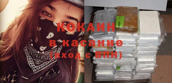 прущие грибы Баксан